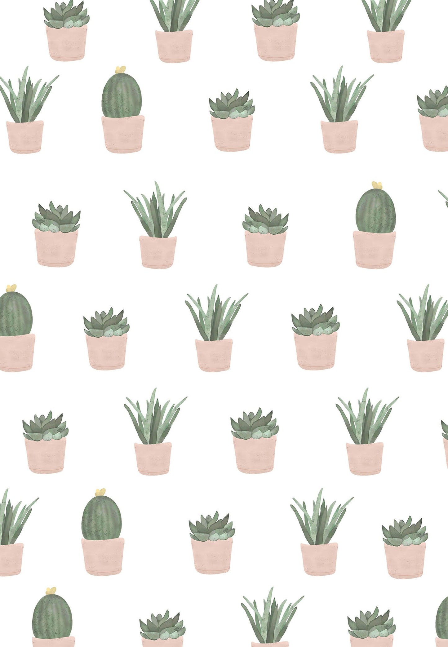Succulents Wrapping Paper - Gift Wrap - Baby Shower Wrapping Paper - Plants - Colorful - Birthday - Kids - Playful - Flowers - Succs